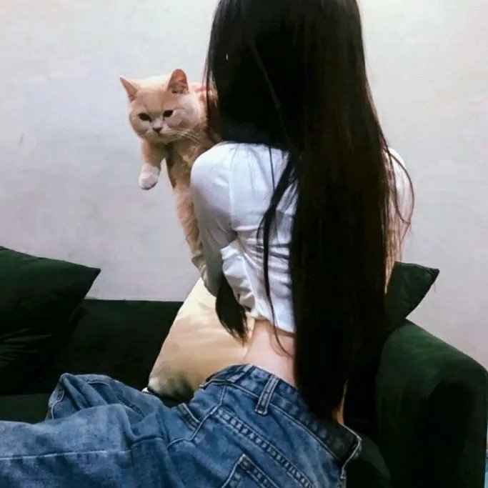 给我翅膀