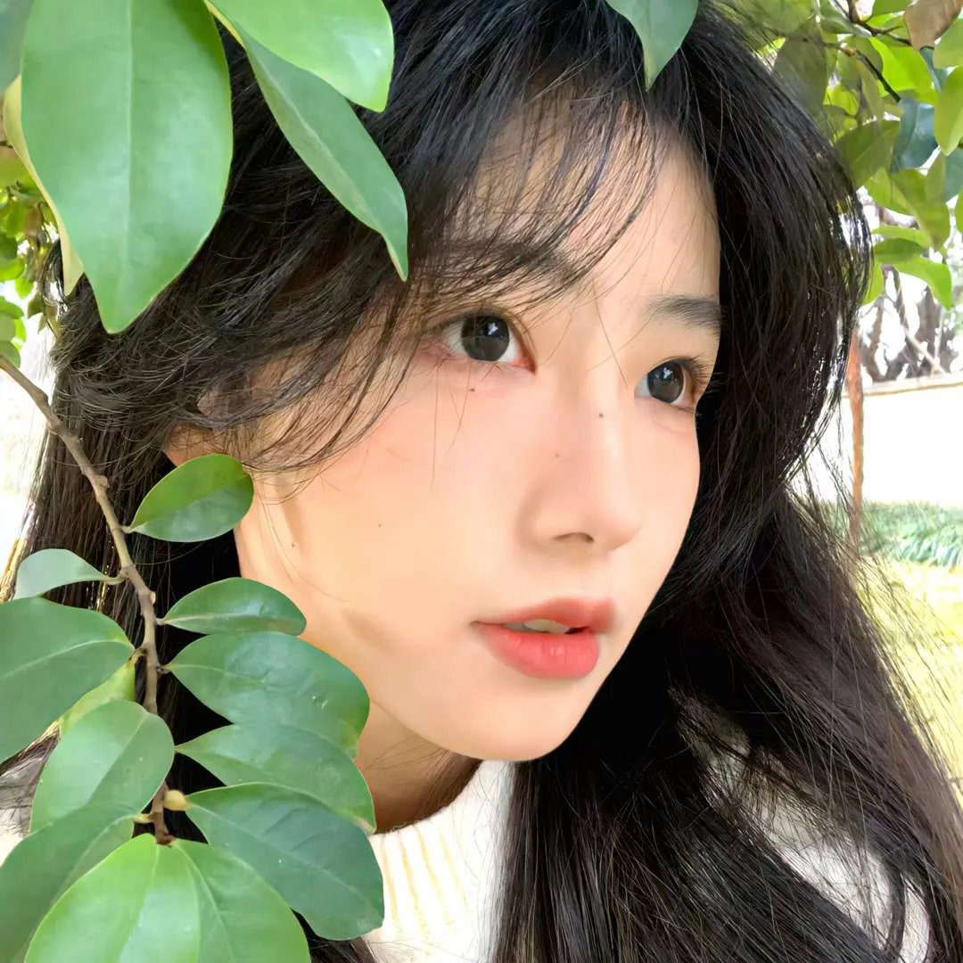 蠢爱三人行